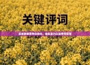 足球联赛竞争白热化，各队全力以赴争夺冠军