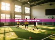 南非击败荷兰，晋级橄榄球半决赛