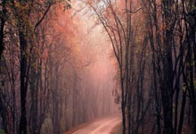 埃瓦尔主场告捷，豪取联赛五连胜