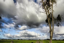 葡萄牙疲劳作战，逼平荷兰提前出局