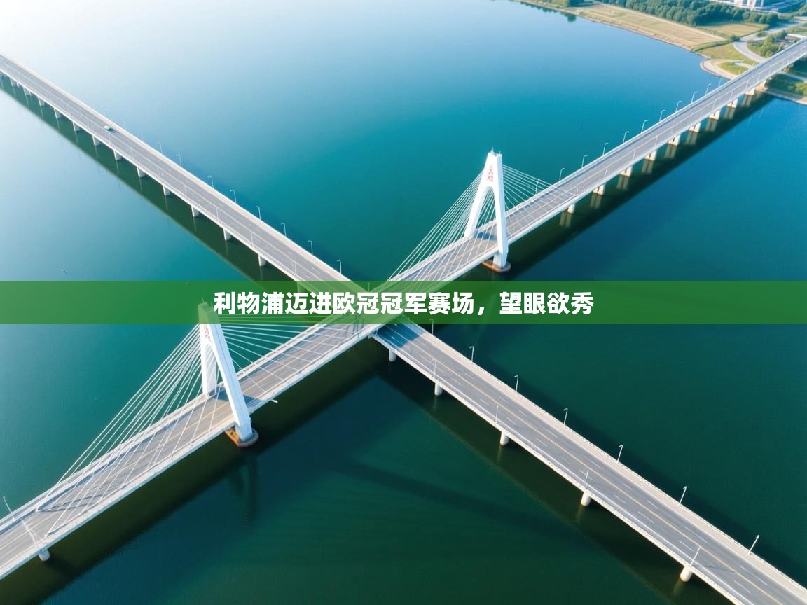 利物浦迈进欧冠冠军赛场，望眼欲秀  第1张