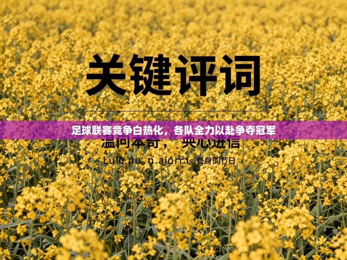 足球联赛竞争白热化，各队全力以赴争夺冠军  第1张