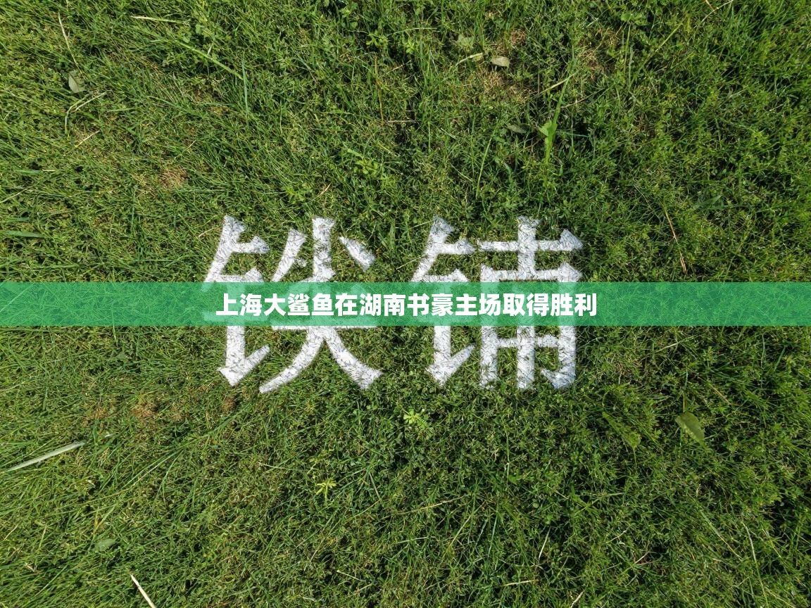 上海大鲨鱼在湖南书豪主场取得胜利  第1张
