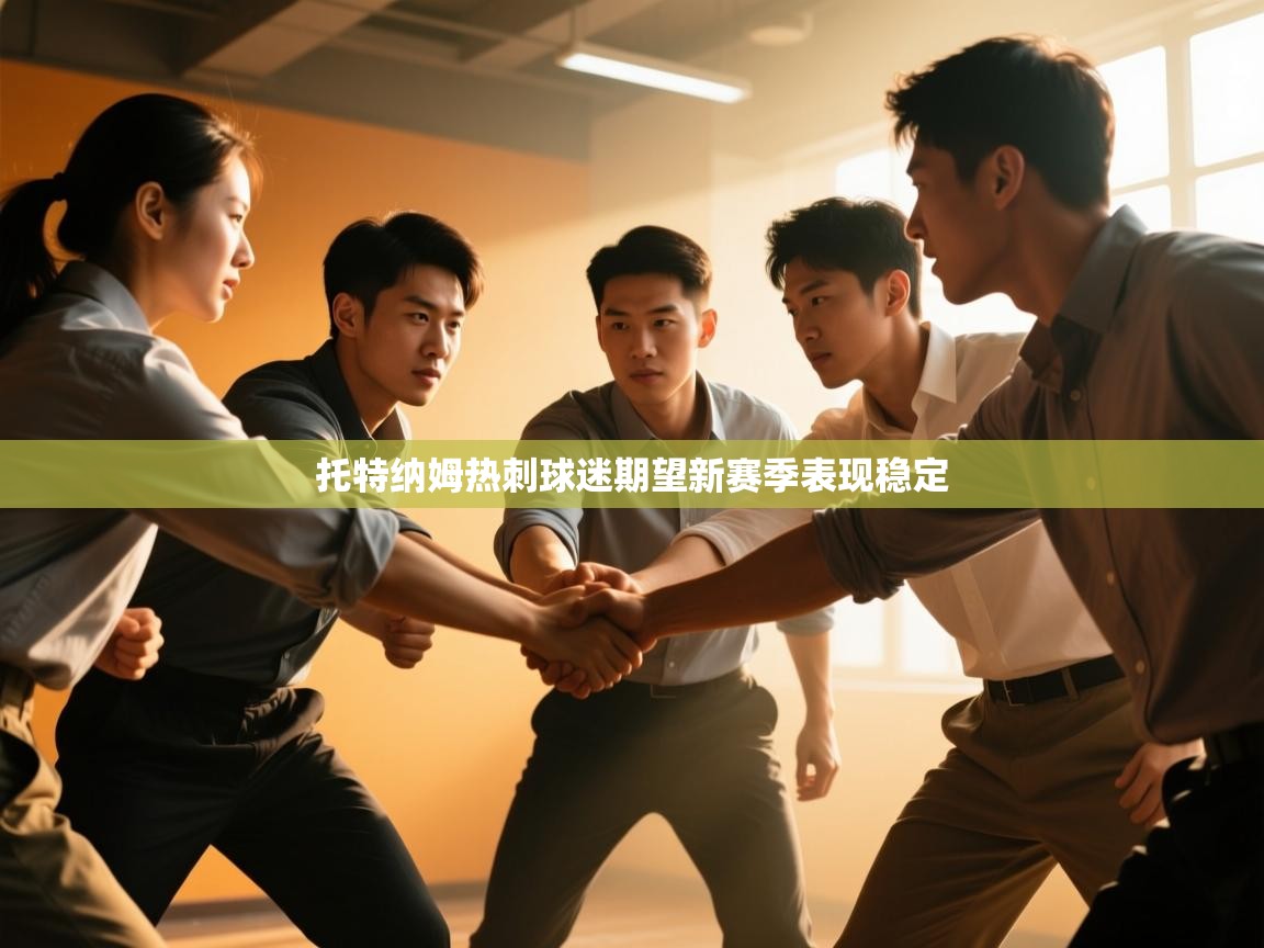 托特纳姆热刺球迷期望新赛季表现稳定 第2张