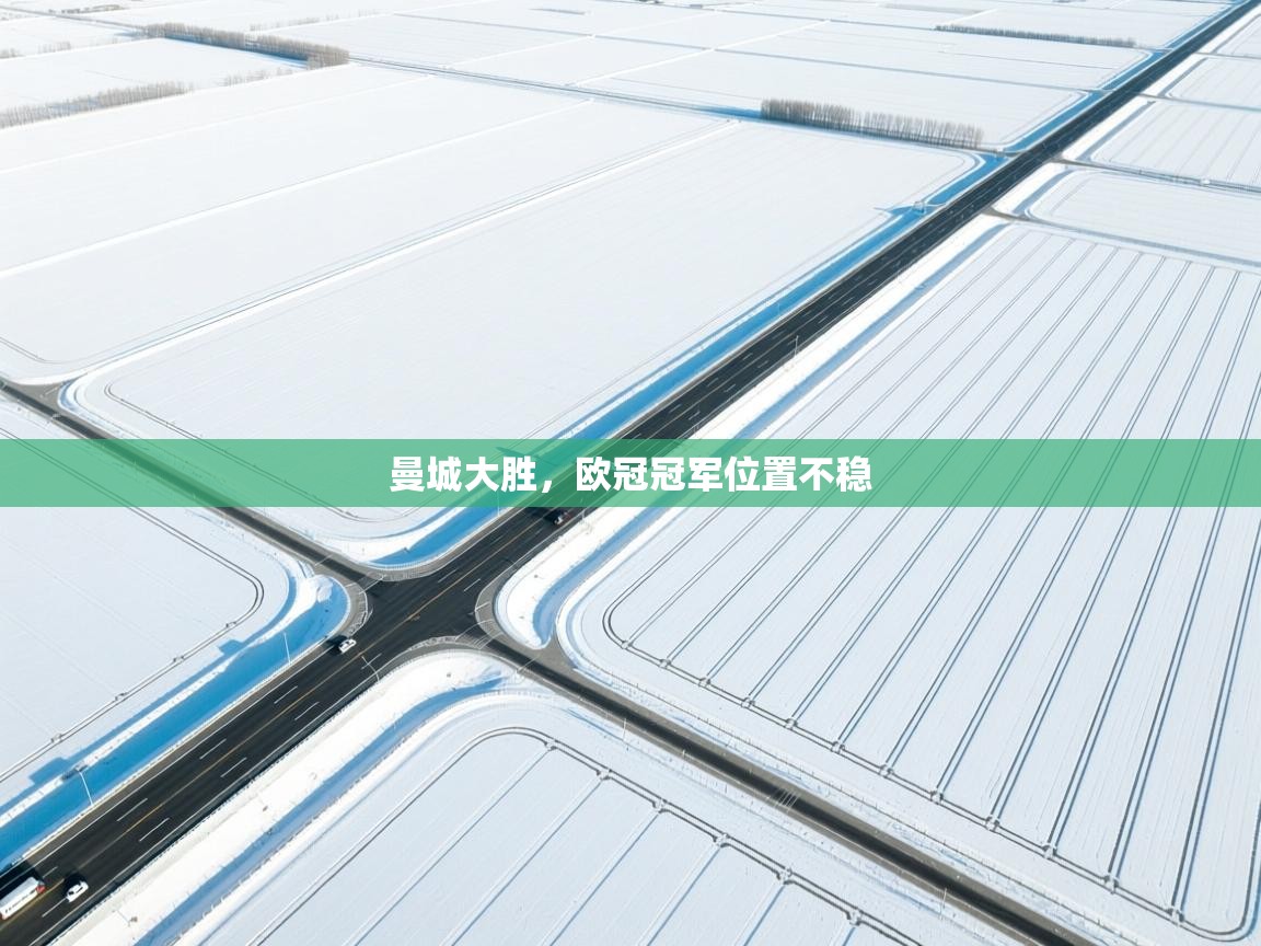 曼城大胜，欧冠冠军位置不稳  第2张