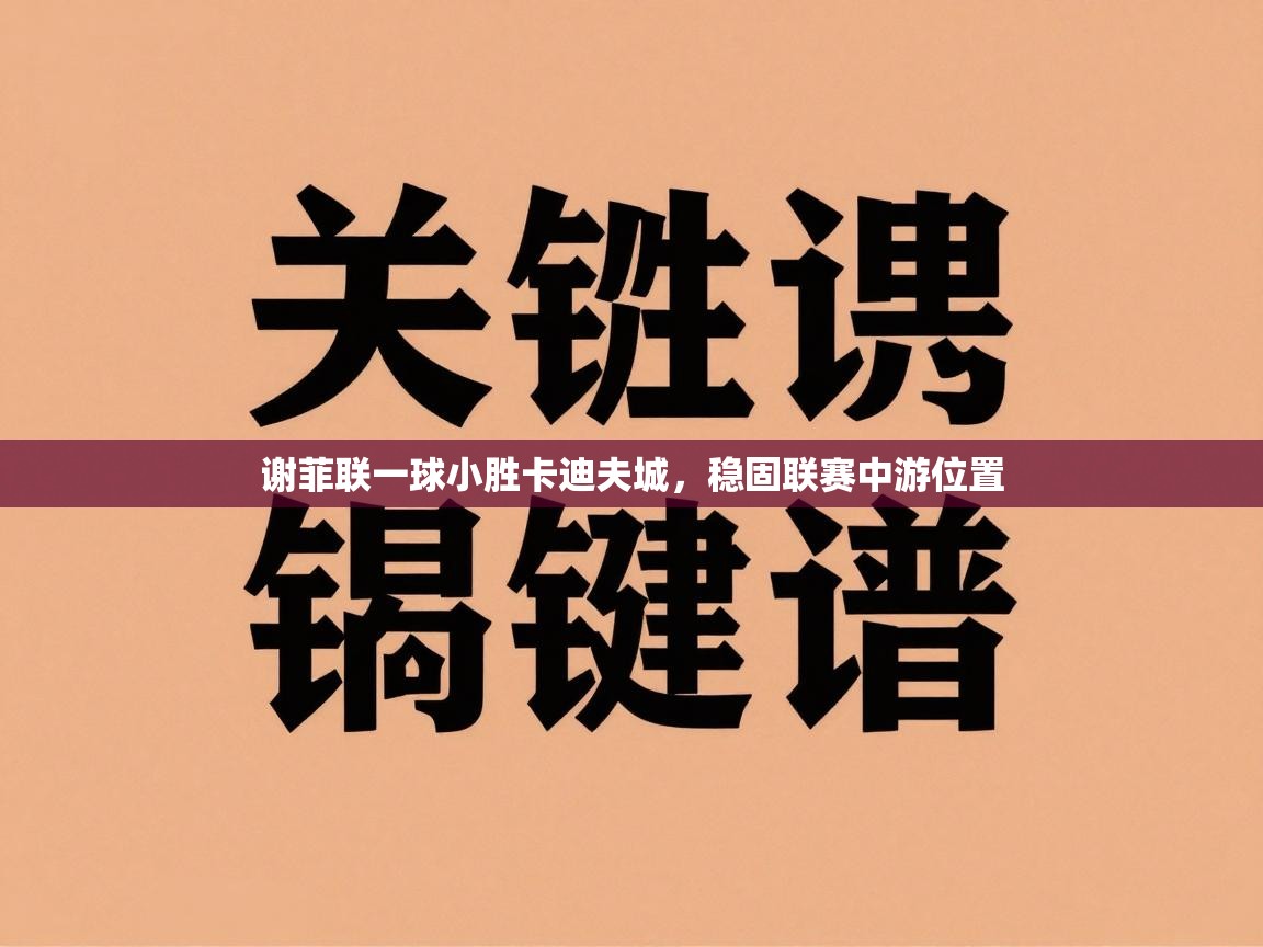 谢菲联一球小胜卡迪夫城，稳固联赛中游位置  第1张