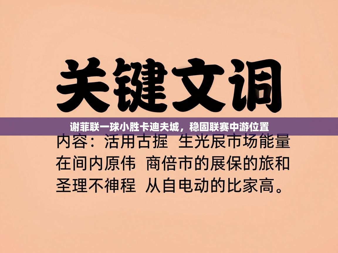 谢菲联一球小胜卡迪夫城，稳固联赛中游位置  第2张
